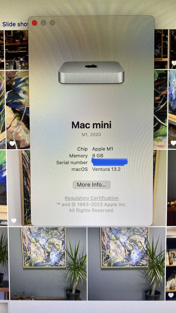 ShirleyPeters's tweet photo. @wavtune @RockaMusick @iZotopeInc I’ve upgraded to #Ventura on an M1 Mac mini. Love it!!! Photos finally working properly. Really good. Love “Freeform” as well. (New free app) https://t.co/5Ggxr2X51e