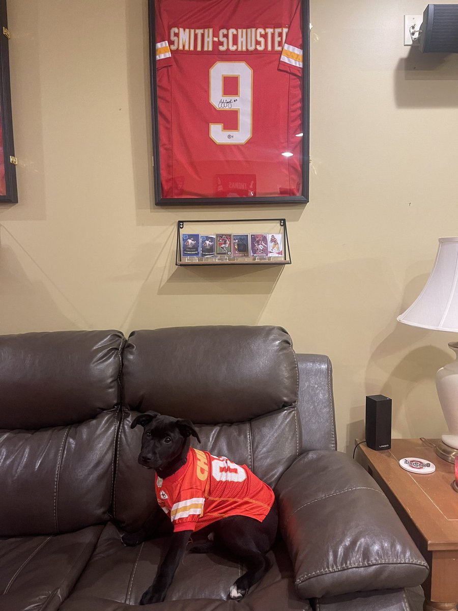caryadta's tweet image. Juju the puppy is ready!  @TeamJuJu #letsgochiefs #ChiefsKingdom