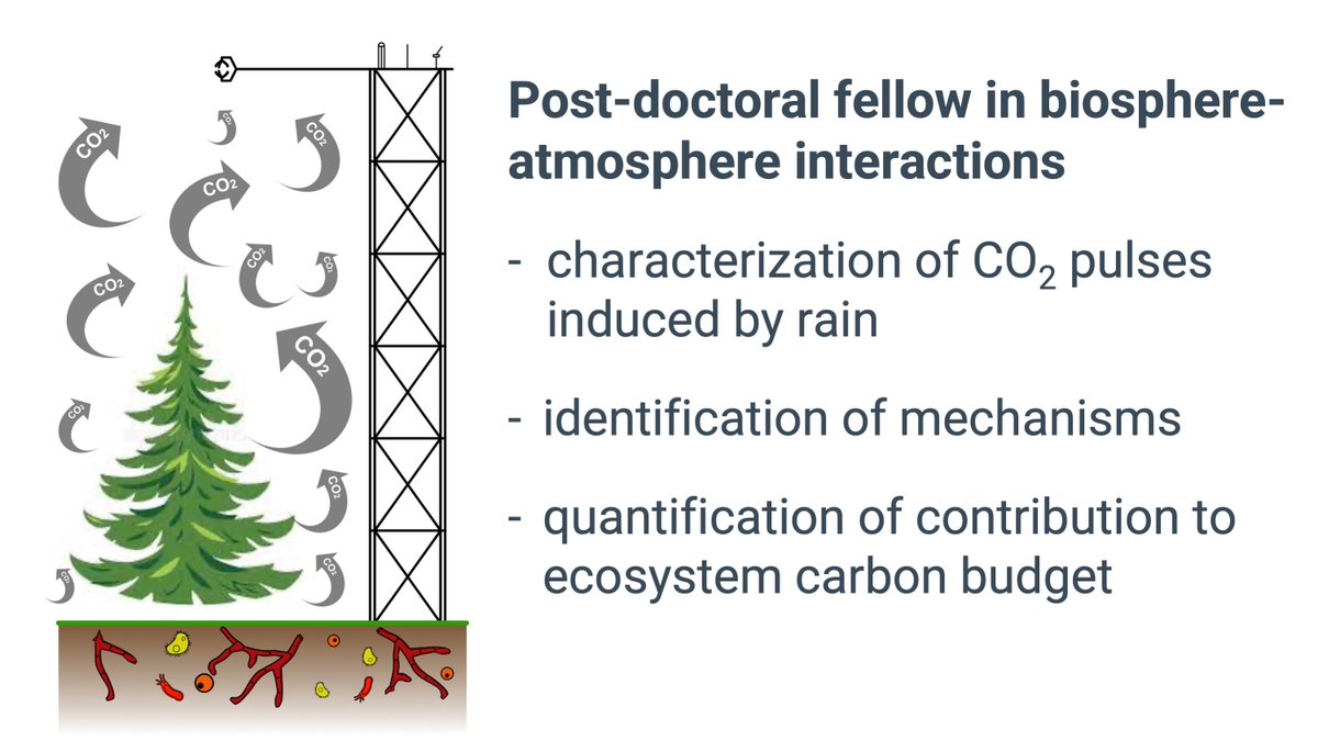 📢 We are hiring 📢 #postdoc in biosphere-atmosphere interactions. #eddycovariance

Work with us on the reinterpretation of ecosystem-level carbon fluxes triggered by drought-rainfall events

Apply here: lu.varbi.com/en/what:job/jo…

@lunduniversity @ICOS_RI @becc_sweden