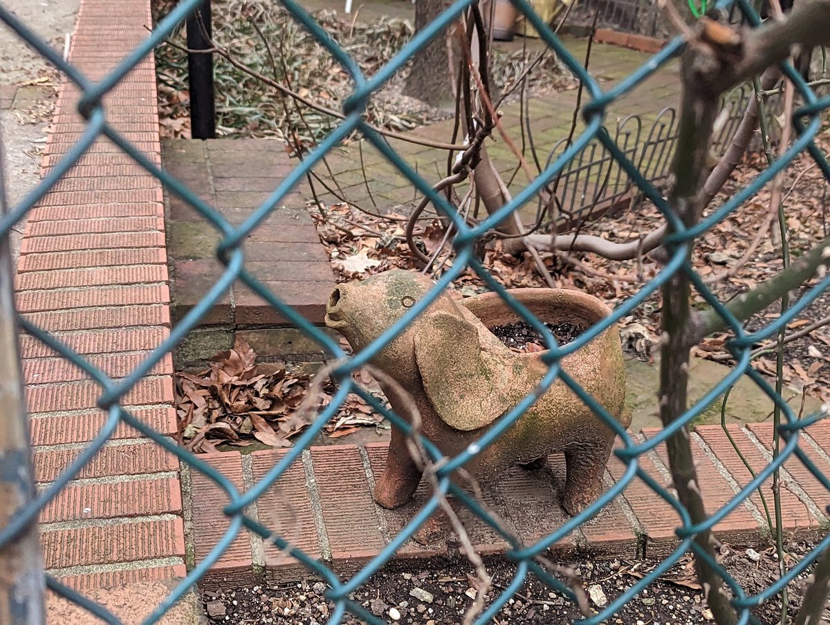 tsarstepan tweet media