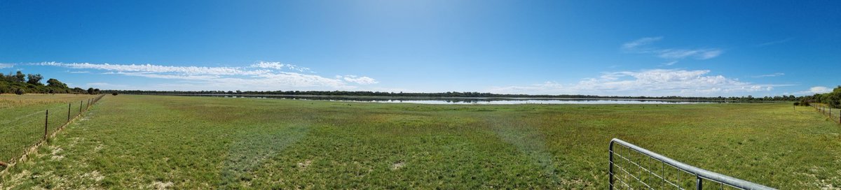 KatyPHCC's tweet photo. Monitoring of previous onground works is always a pleasure at Lake McLarty, stunning as always. Thanks for your help @JenniePhcc! #NLP #Ramsar482 #WetlandsandPeople @PeelHarveyCC https://t.co/mOrNeFc7CH