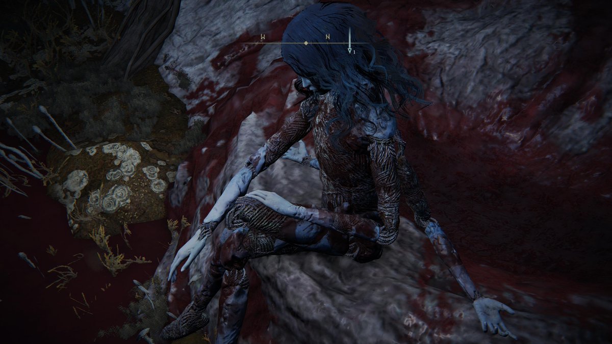 MistraScruff's tweet photo. #PS5Share, #ELDENRING https://t.co/pb7gMdSHHj