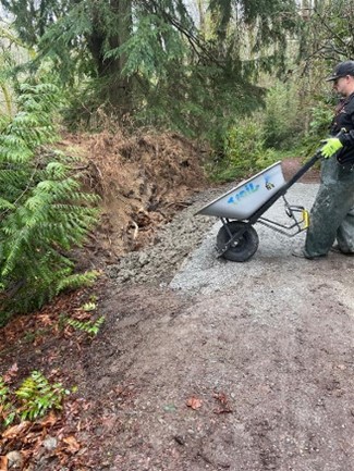 SeattleParks's tweet photo. An uprooted tree made significant damage to a trail in Ravenna Park last week. The Trail Crew swooped in to build a retaining wall and to resurface the trail. #RavennaPark #SeattleTrails #SeattleShines https://t.co/7LWRuFQVMw