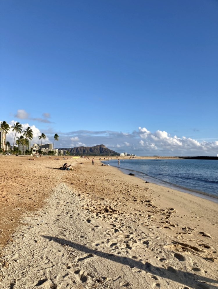 modern_nomad1's tweet photo. @ferventfinance My front yard, in Honolulu https://t.co/pRtJTyTOuJ