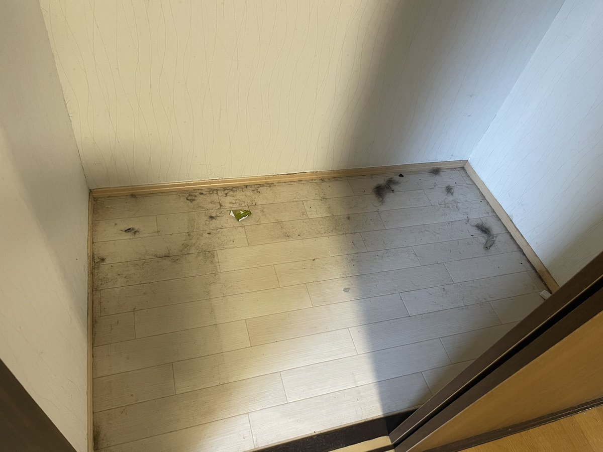 rinney0331's tweet photo. 本日は4LDK 戸建て空室のクリーニングです!お仕事いただき感謝です!
KAELUでは空室クリーニングも受け付けしております☺️
4名体制で頑張ります💪
#ハウスクリーニング #家事代行 #KAELU #還る https://t.co/vqV92H0ufD