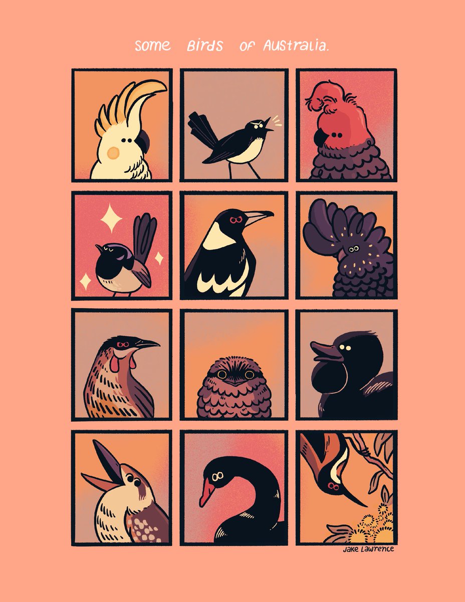 RT @TheTimeCowboy: I drew some of my favourite australian birds. https://t.co/THHt4dvUpy