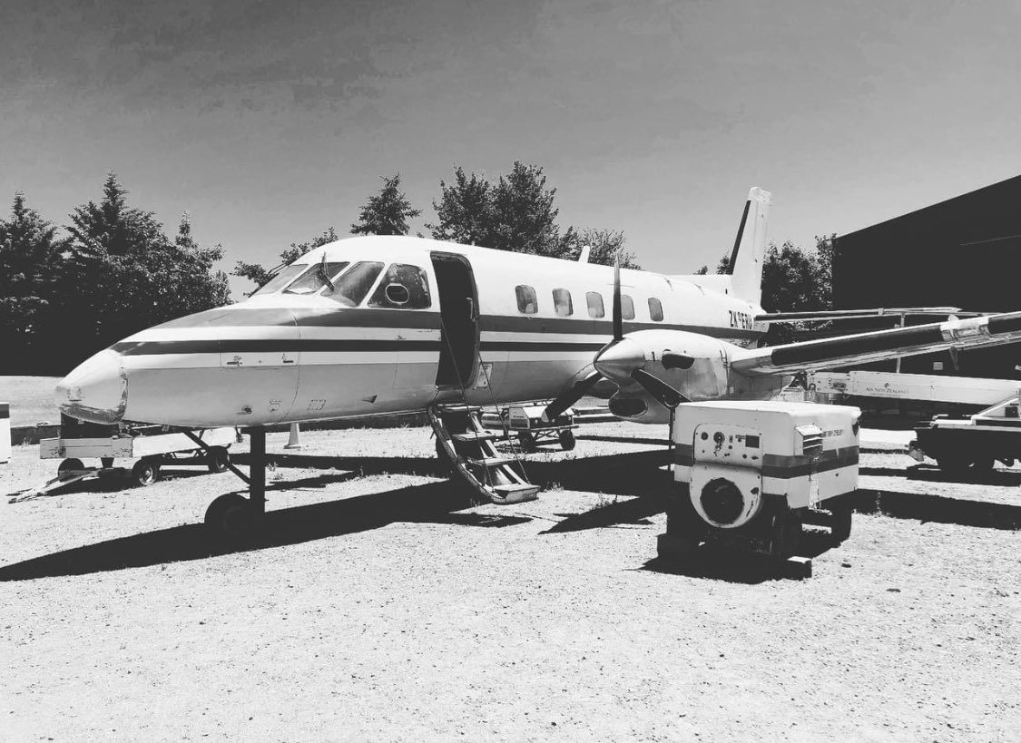 bringourbirdshome✈️ tweet media