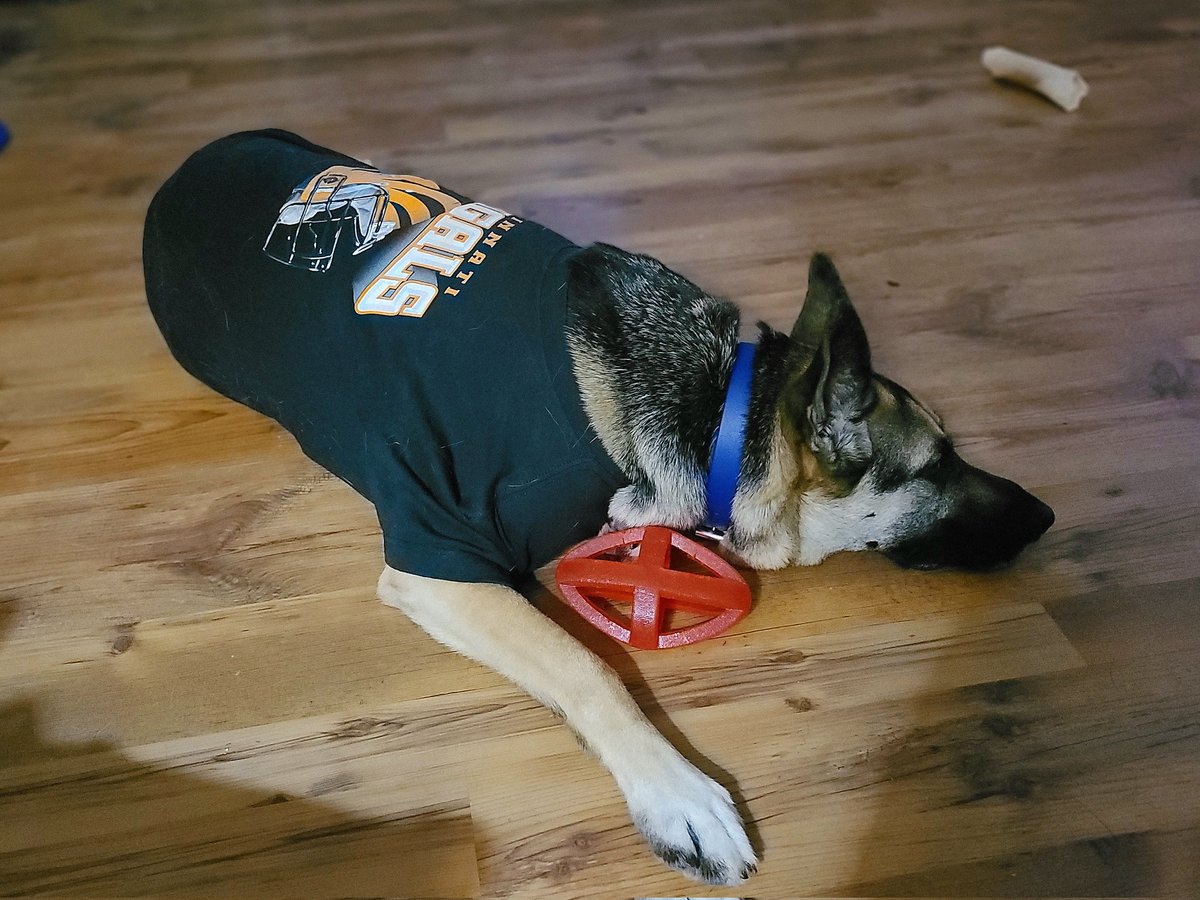 CandySass's tweet photo. #Bengals https://t.co/Q3jxJMOKBH