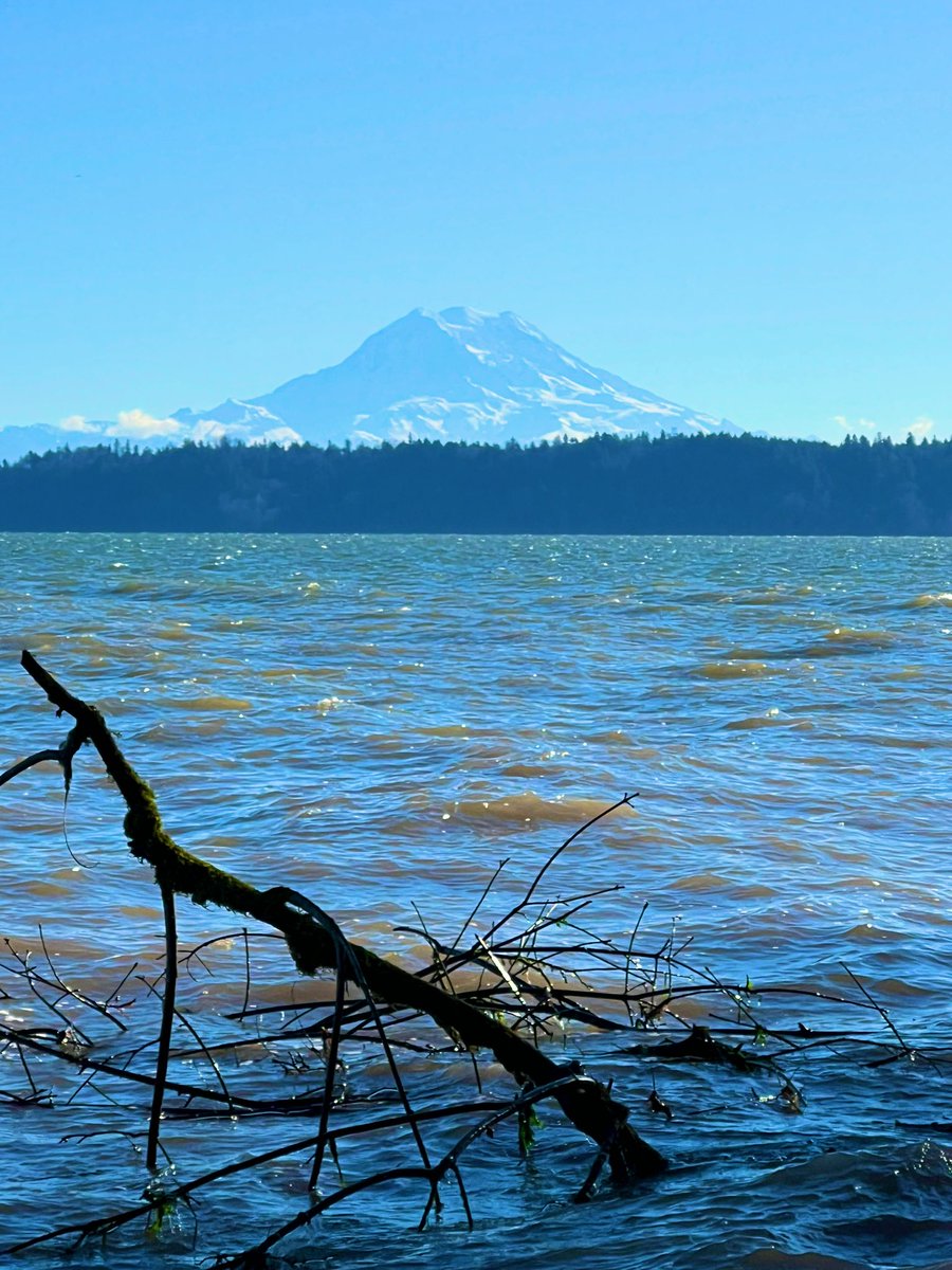 domengineerdad's tweet photo. @NWSSeattle Nice and clear for the morning run in the South Sound. https://t.co/5SA48yn5Qn