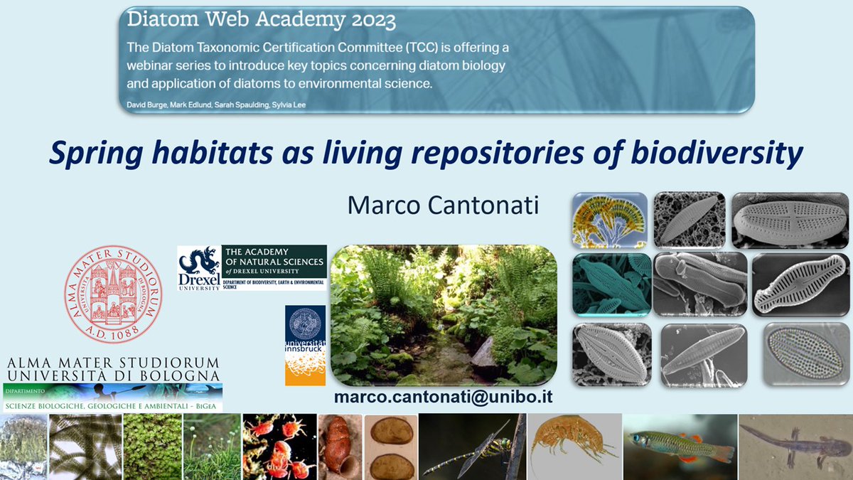 Tuesday I will be talking online about (diatom) biodiversity in spring ecosystems for the Diatom Web Academy (diatoms.org/news/diatom-we…):

Tuesday January 31
18:00 Central European Time
10-11 AM (mountain time, US and Canada)

There is no charge for attendance, and all are welcome.
