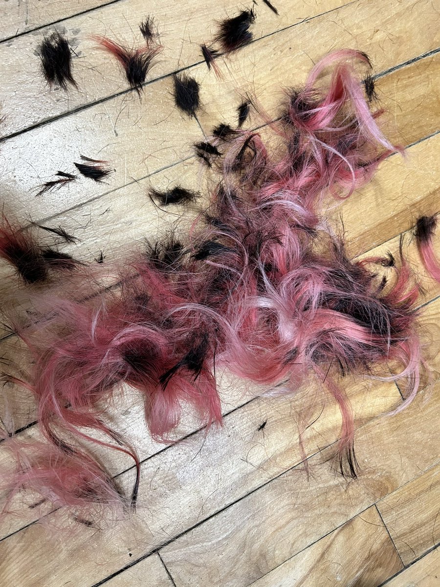 cazikyu's tweet image. Chat effed around and found out. 1k raised for @HopeForTheDay today, and @OctoDragonTeam’s total is at over 19k total. Thank you so much!! My heart is so full and I may or may not be crying 🥹