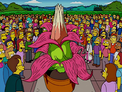 JoeMaurone's tweet photo. @Rainmaker1973 "Simpsons did it..." https://t.co/veOxg99eWp