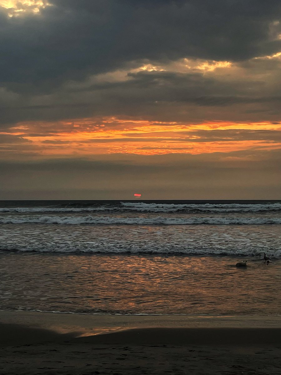 diegotaco08's tweet photo. En el mar la vida es más sabrosa 😎 https://t.co/Iy1XjurcCE