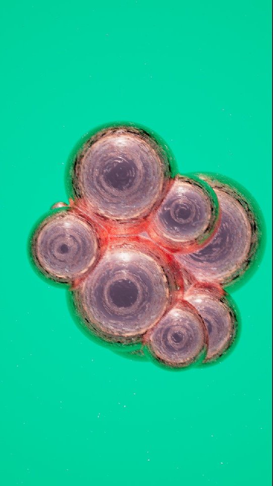 Kyle Jamison tweet media