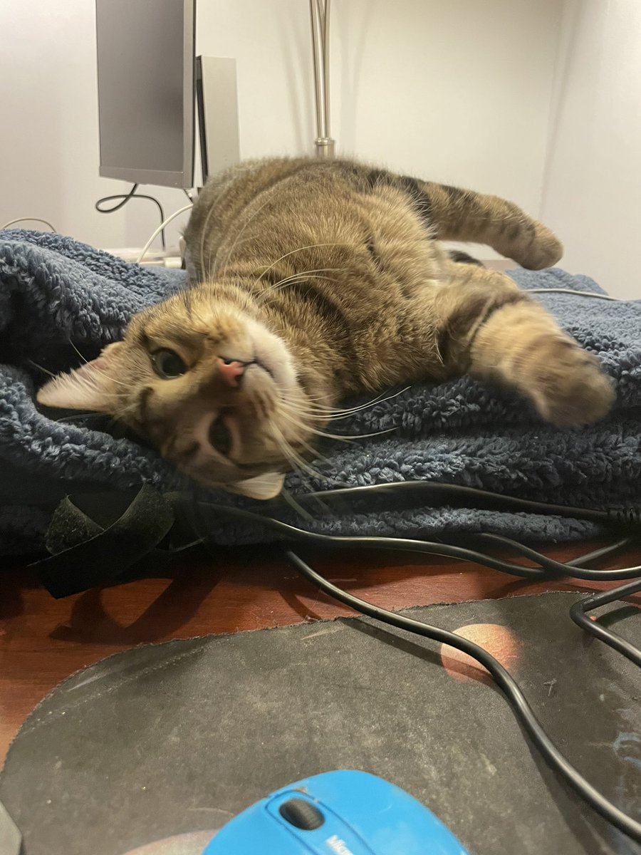 Dr. Laura Woodney tweet media