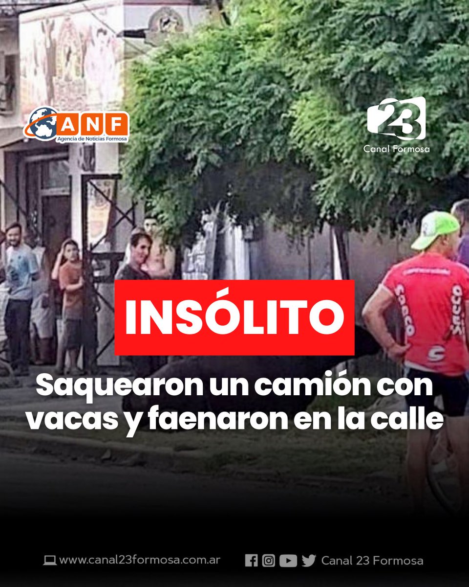canalformosa's tweet photo. 🔴 #insolito • 𝐯𝐞𝐜𝐢𝐧𝐨𝐬 𝐬𝐚𝐪𝐮𝐞𝐚𝐫𝐨𝐧 𝐮𝐧 𝐜𝐚𝐦𝐢𝐨́𝐧 𝐜𝐨𝐧 𝐠𝐚𝐧𝐚𝐝𝐨 𝐲 𝐟𝐚𝐞𝐧𝐚𝐫𝐨𝐧 𝐚 𝐭𝐫𝐞𝐬 𝐯𝐚𝐜𝐚𝐬 𝐞𝐧 𝐥𝐚 𝐜𝐚𝐥𝐥e
#viral #vacas #vacuno #faenar #ganado #quilmes #buenosaires #bsas #vecinos #conurbano #bonaerense #argentino https://t.co/dnOm9qPnEu