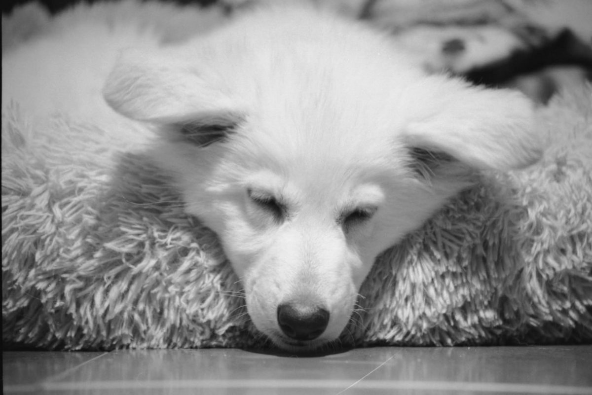 Graywolf92's tweet photo. and some more https://t.co/YWR69DQwaf