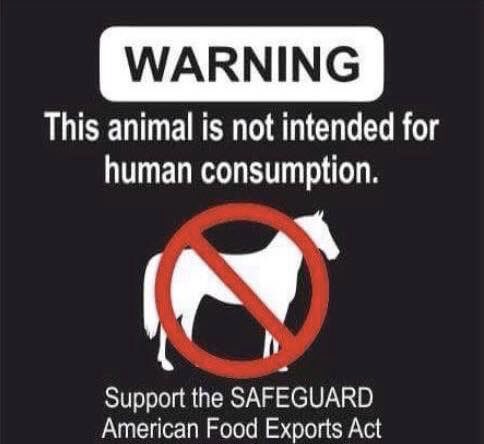 “The Food and Drug Administration (FDA) considers horses as companion animals and not food-producing animals.” #HR3355 #BanHorseSlaughter