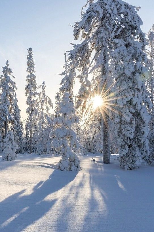 Happy new week !