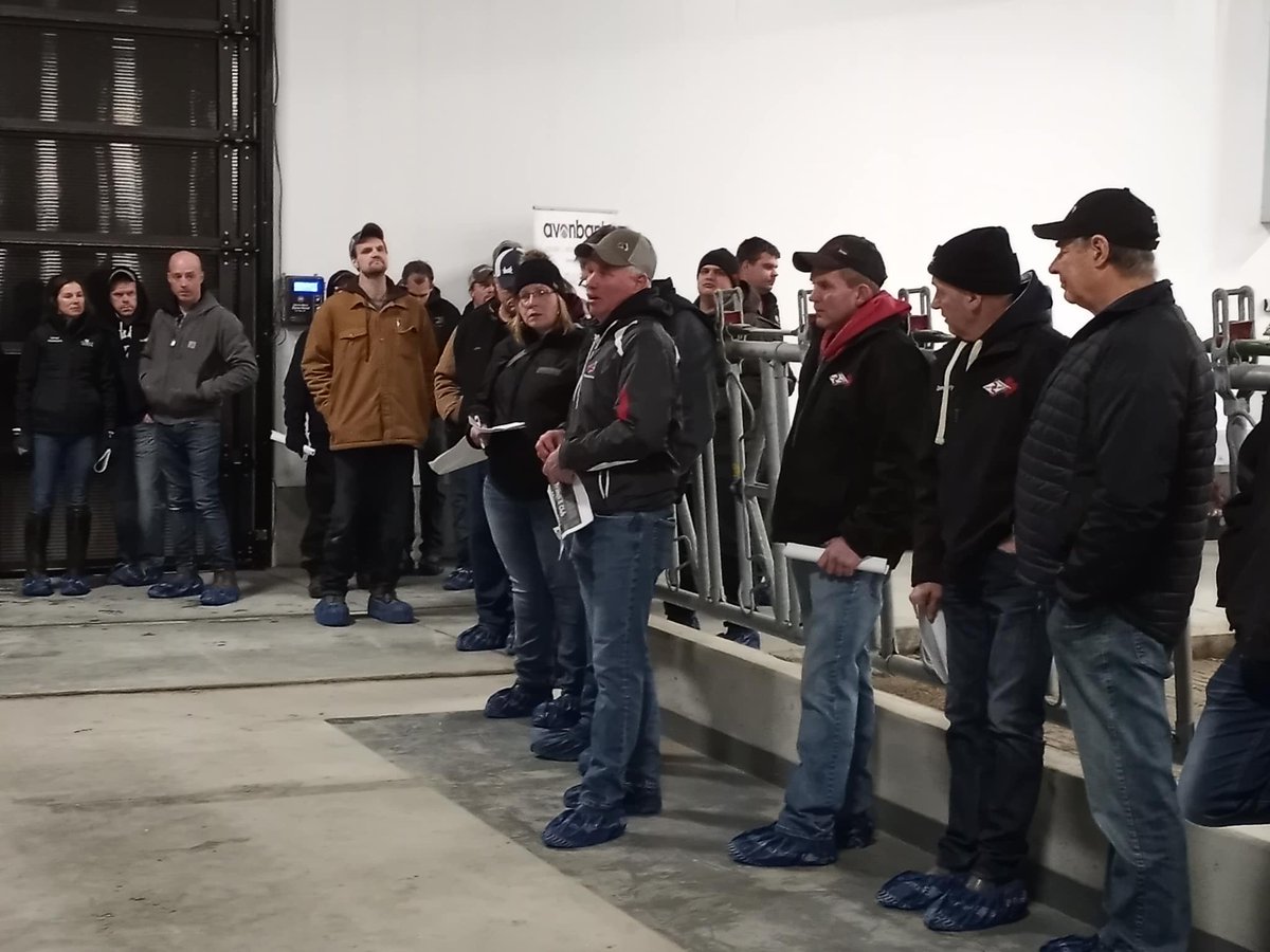 Perth County Holstein Club tweet media