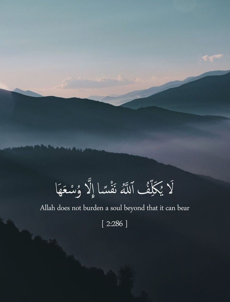 Al__Quraan's tweet photo. “Allah does not burden a soul more than it can bear.” https://t.co/uEqGDjwfxU