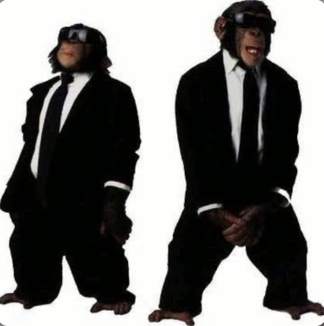 edgar rod (@edgarrodleon) on Twitter photo 