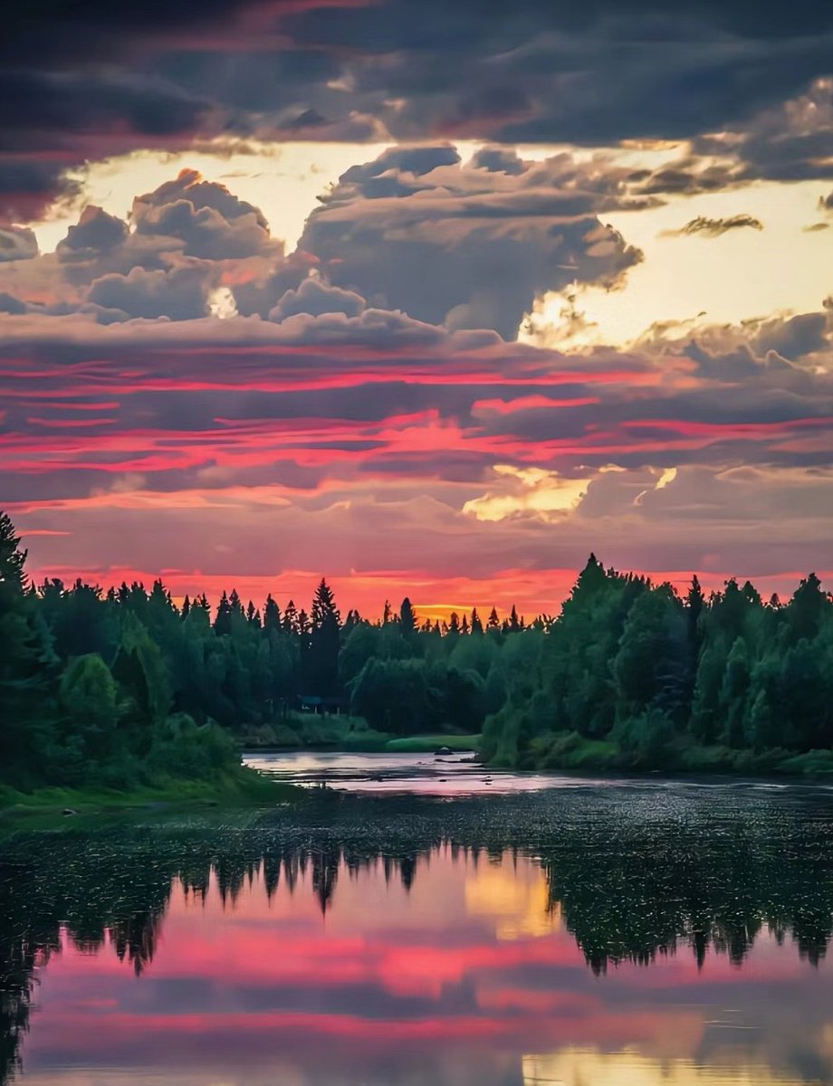 Sophia Brite (@sophiabrite) on Twitter photo 