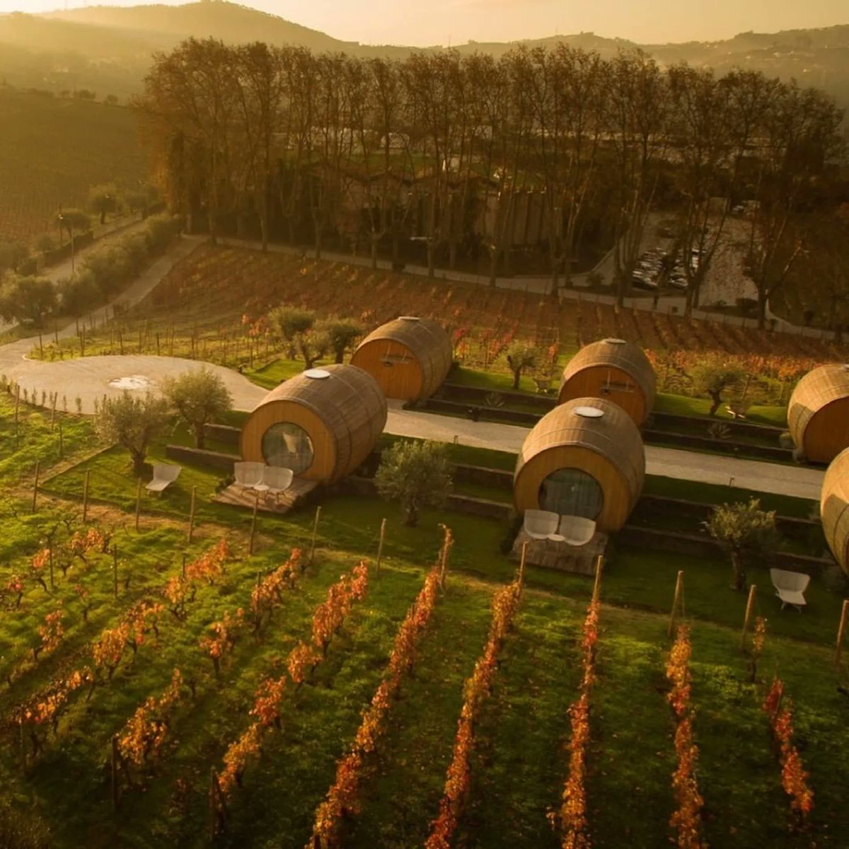 wineworldnews's tweet photo. Unique Wine-Tasting Experiences You Won’t Want To Put A Cork In https://t.co/uW3RKyeD5k on @thezoereport by @abbystern #traveling #travel #traveltips #wine #winetravel @TedNguyen @MrScottEddy @Coolmon2009 @travelwinenyc @travelwinechick @KellyMitchell @RobertMondavi https://t.co/vYPIhEYOXl