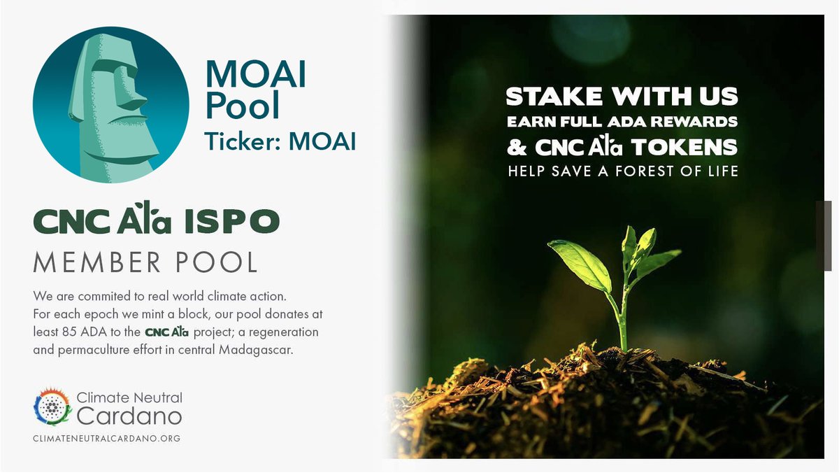 Moai Pool 🗿🇺🇸🇩🇪 - CNC Ala ISPO 🌿 tweet media