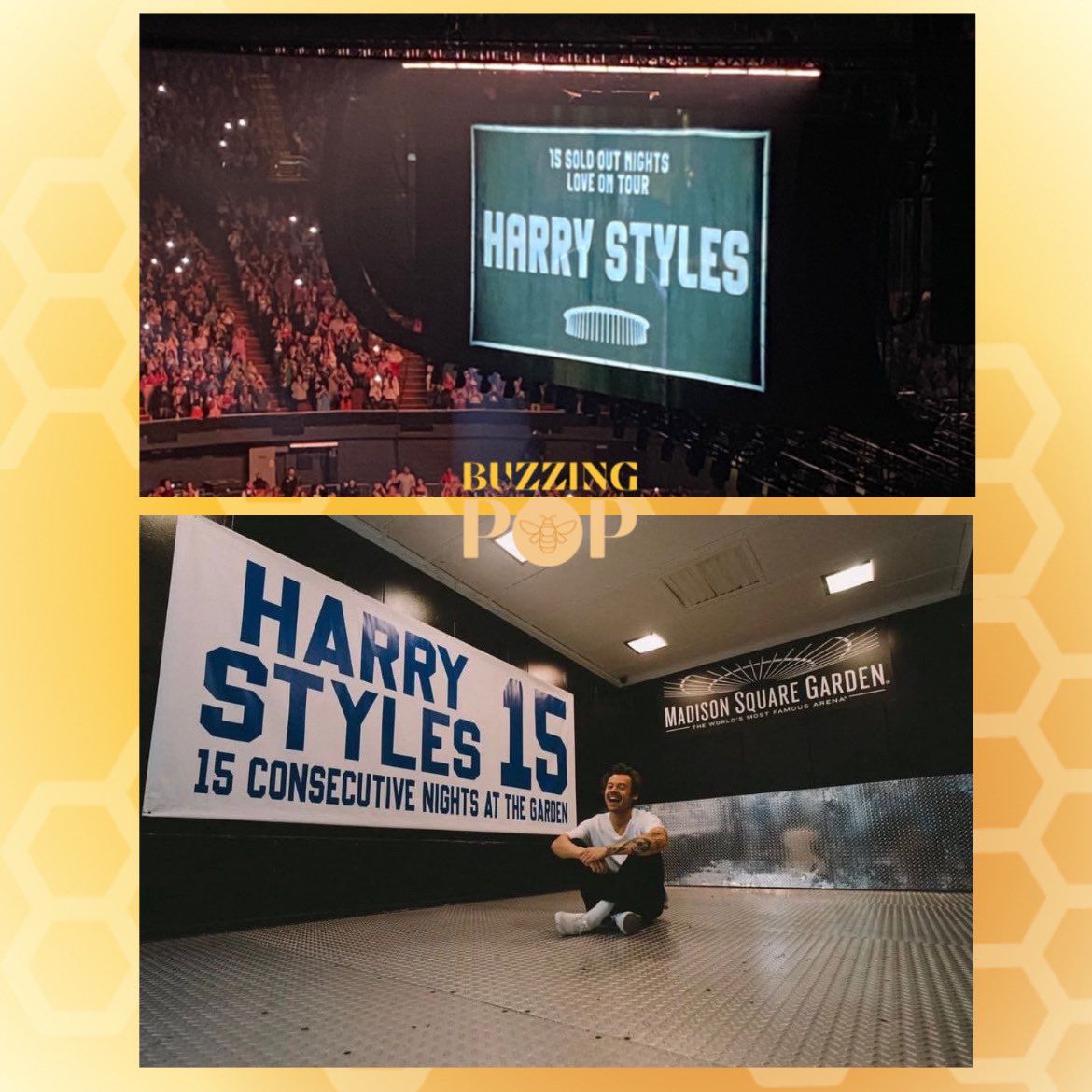 BuzzingPop's tweet image. Harry Styles becomes the first artist in history to have 15 sold-out shows at both Madison Square Garden and The Forum. 🏆