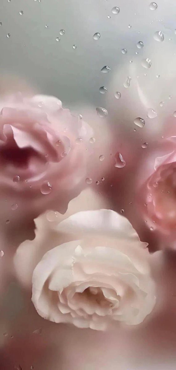 lIlanonymouslIl's tweet photo. #วอลเปเปอร์ #wallpapers #วอลเปเปอร์ไอโฟน #วอลเปเปอร์มือถือ #รูปหน้าจอ #รูปหน้าจอมือถือ #รูปHD #วอลคู่ #รูปคู่ #รูปหน้าจอคู่
ฝาก follow ด้วยนะครับ ❤️ https://t.co/yx8qUxJGO8