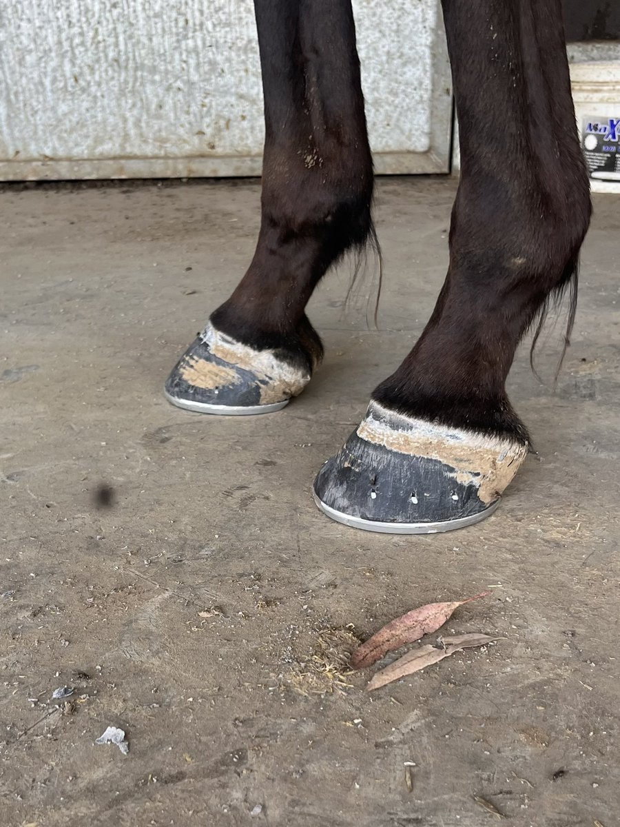 Well overdue but came up ok.