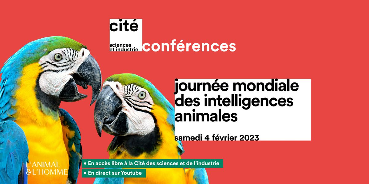 citedessciences's tweet photo. Souvent décrit comme un tueur des mers,froid et destructeur, le requin est pourtant un animal fascinant avec énormément de secrets. Venez le découvrir le 4 février à 11h30 avec François Sarano, océanographe 🤩🦈
#IntelligenceAnimale
Plus d'infos 👉 https://t.co/Gk24TrWv9z https://t.co/DmnPs8fNiF