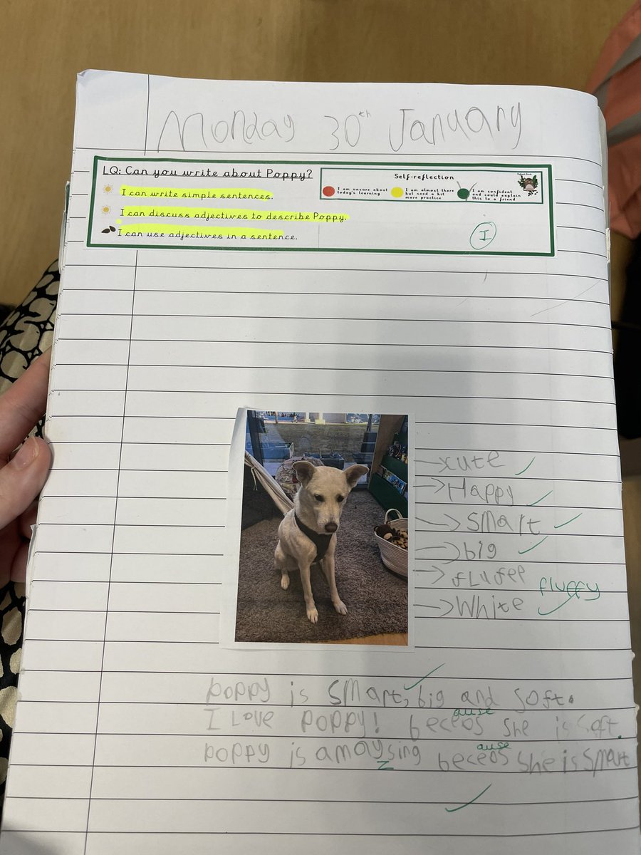 ArborYear1's tweet image. We won the Arborhaviour prize last week and chose to look after Poppy for the day as our reward! We loved writing all about our special class guest in English today! #1AB 🐕✍️😁