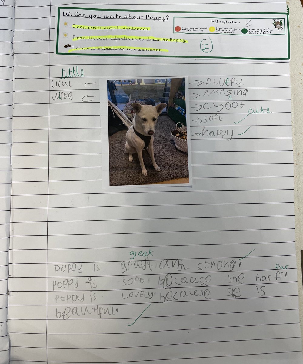 ArborYear1's tweet image. We won the Arborhaviour prize last week and chose to look after Poppy for the day as our reward! We loved writing all about our special class guest in English today! #1AB 🐕✍️😁