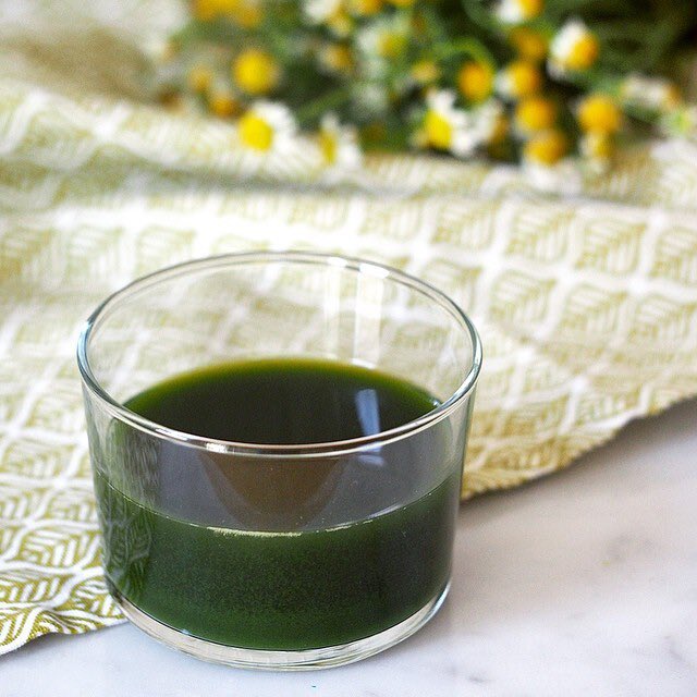 𝗗𝗮𝗻𝗱𝗲𝗹𝗶𝗼𝗻 𝗙𝗼𝗿 𝗗𝗶𝗮𝗯𝗲𝘁𝗲𝘀 𝗠𝗲𝗹𝗹𝗶𝘁𝘂𝘀

Get 7 fresh leaves of Dandelion plant and blend it with water. Divide the extract into three and take it three times daily before meals.  

Nature heals.
————-
ChatGPT Sheldon Mohammed Kudus Bongo #fearwomen First Lady