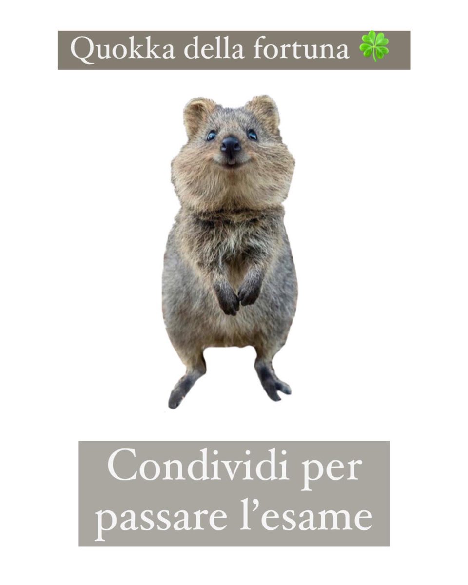 ne pubblico un altro perché ne ho proprio bisogno