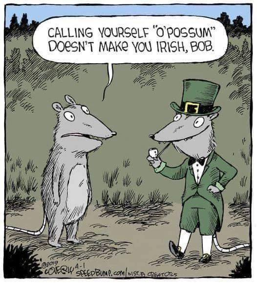 FunPolitics1's tweet photo. 🇮🇪🍀O`Eire

#Ireland #Irish #possum #opossum https://t.co/ibuybIFh6w