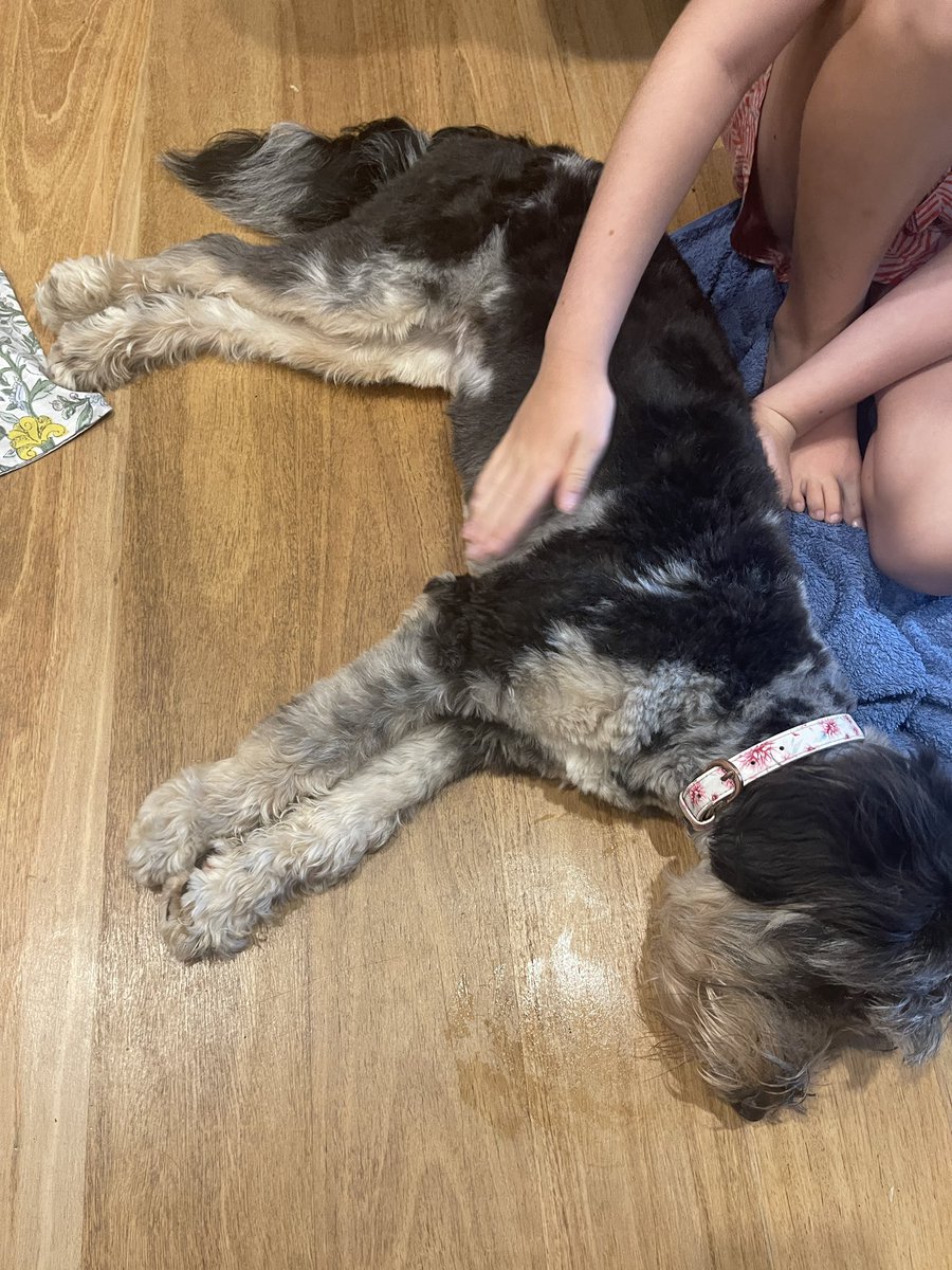 HotDubTimeMachine tweet media