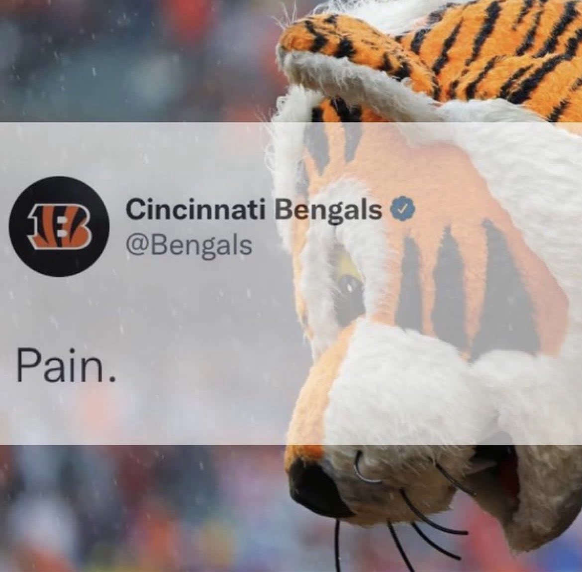 UCBarstool's tweet photo. https://t.co/KNplixc8y0