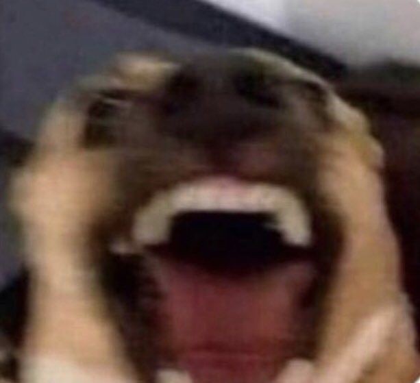 lourrayneesther's tweet image. VAI CRISTIANNNNNNNN
#RedeBBBB #BBB23