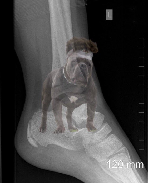 ThatSneakerDude's tweet photo. @phatphotius @aaronnsolano sent me and austin this lmao https://t.co/0D7lJLLh3x