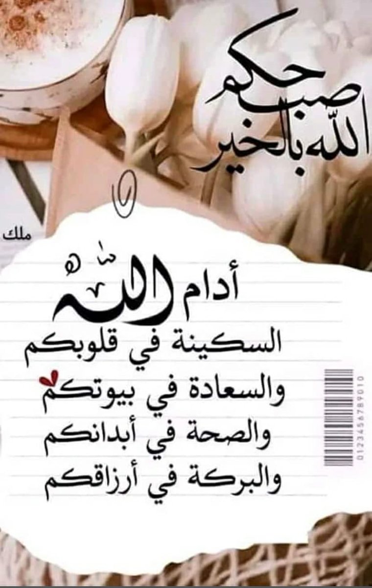 botamim30__'s tweet photo. https://t.co/mjsEV87f44