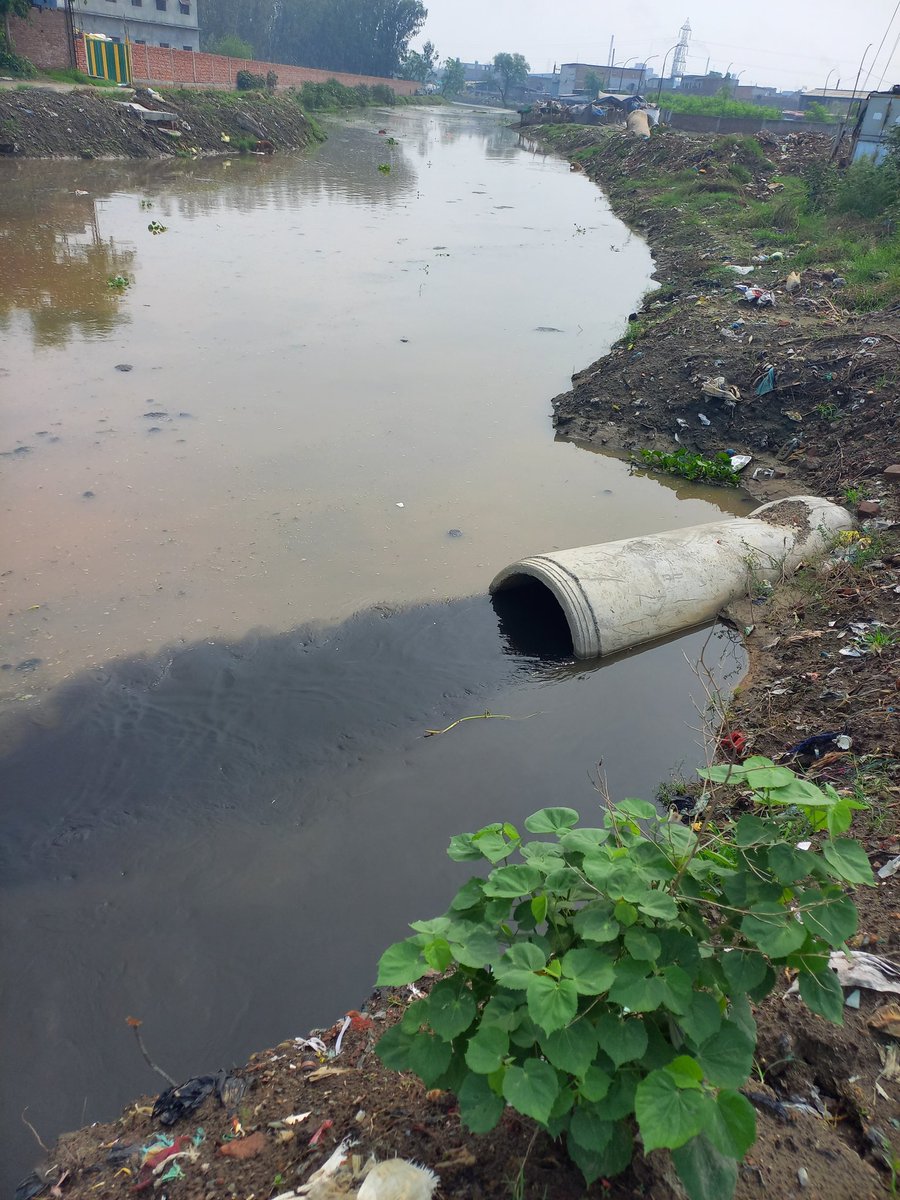 Lakhanpal1Cm's tweet image. Delay in #BuddhaDarya Project leads to destruction. Allows people to suffer indefinitely. Situation serious. Inauguration of STP will not make the difference ? Force Polluters to Shut. Seal the polluting units for good. #FreedomFromPollution #FreedomFromCancer #SavePunjab