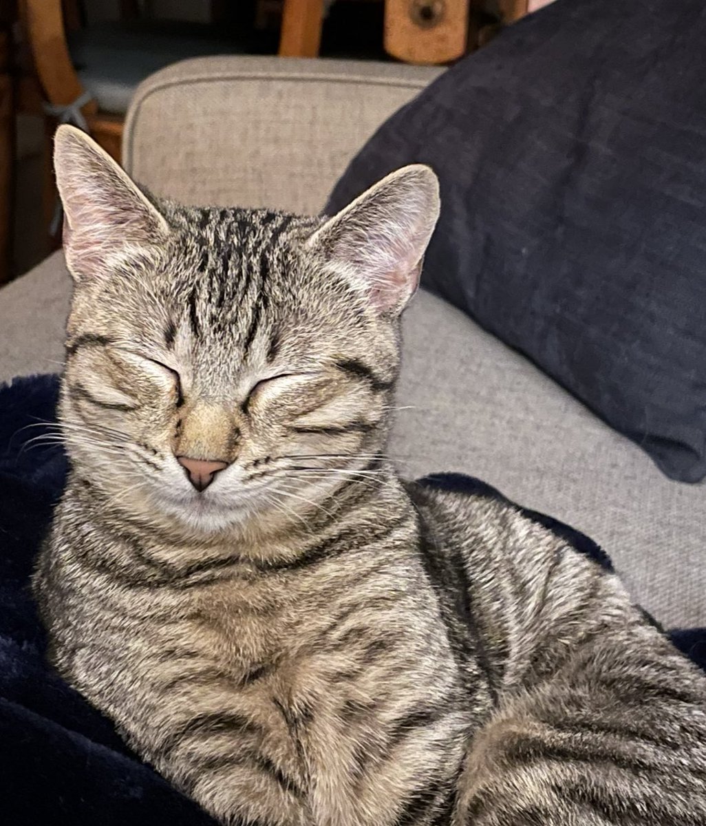 Cheryl Lloyd tweet media