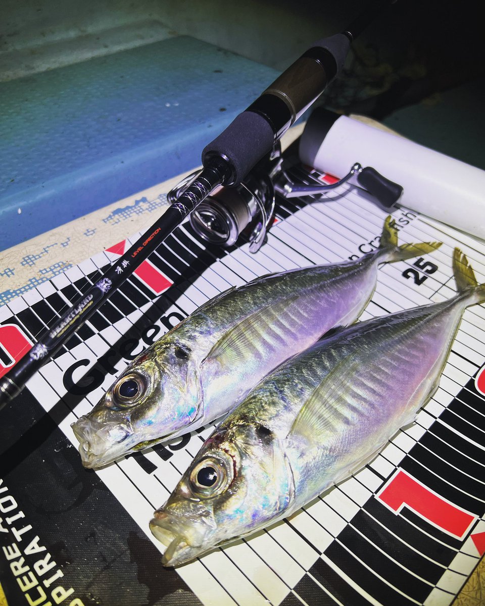 fishing_tii's tweet photo. もうアクションフォールに反応してくれる群れいないかな…

瞬発的なアクションからの
テンションフォールくらいでしか
なかなか反応しない

#釣り
#海釣り
#アジ
#アジング
#ボートアジング
#ジグ単
#DAIWA
#ハートランド
#ハートランド倶楽部
#冴掛レベルディレクション
#22EXIST2000SH https://t.co/HKvfLAtMy3
