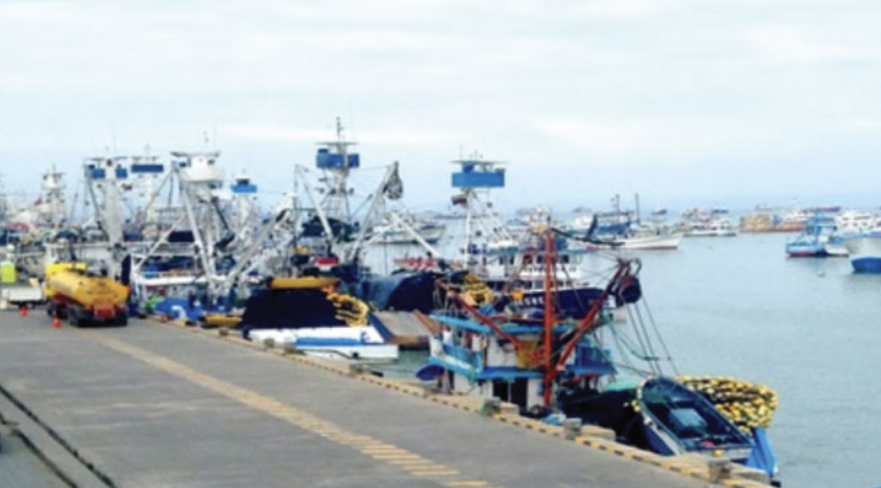 ¿Sabías que es importante conocer el comportamiento de los buques y reforzar la gestión internacional de la #pesca? Conoce el motivo en el siguiente artículo.

bit.ly/3kHteH9