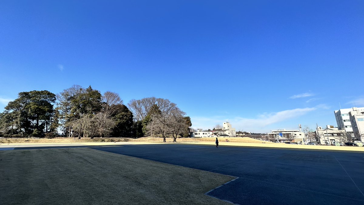 3月31日から毎週末 小山市市役所横の御殿広場で 『大つけ麺博 Presents 帰ってきた最強ラーメン祭』 を開催します！ 金曜日は夜だけ 土日は10時半か夜8時まで予定 最強の32店舗が集結 最強のコラボも多数！