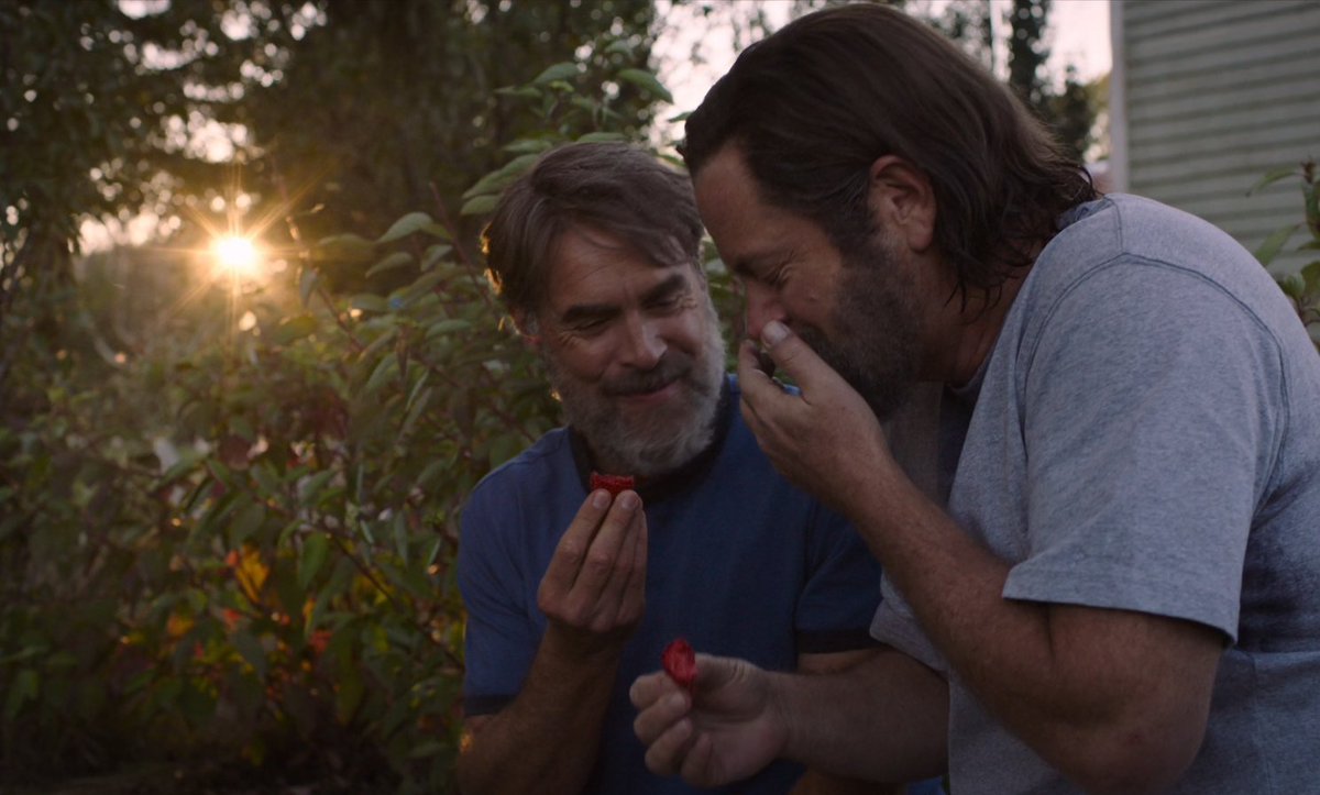 ItzBern's tweet photo. Estos excelentes actores contando una hermosa historia de amor en #TheLastOfUs me hicieron olvidar que Ellie ¡¡ NO SE PARECE !! https://t.co/YC827T0zfV