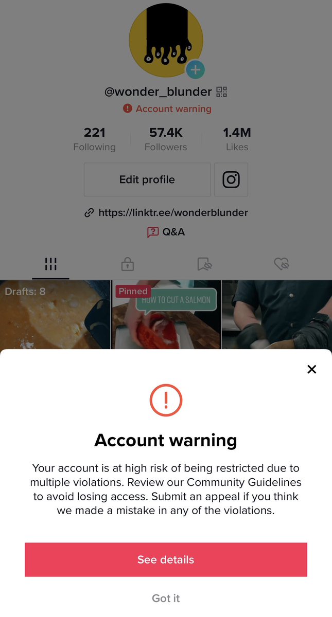 Wonderblunders's tweet image. The community guidelines on TikTok are a joke…